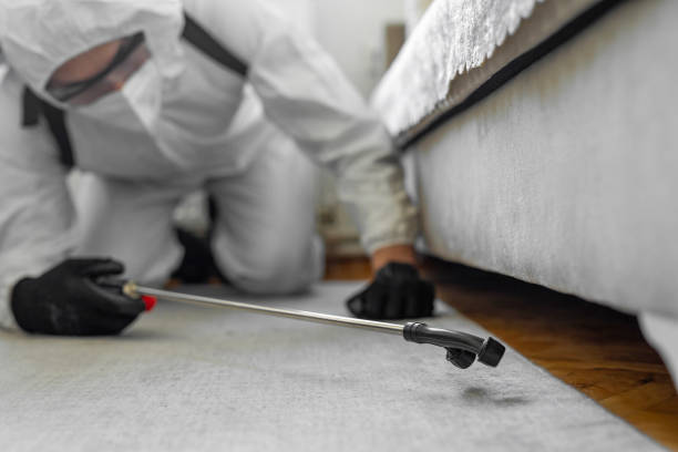 Professional Termite Control technician working in Weld County County, CO